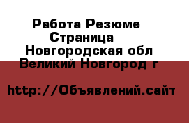 Работа Резюме - Страница 2 . Новгородская обл.,Великий Новгород г.